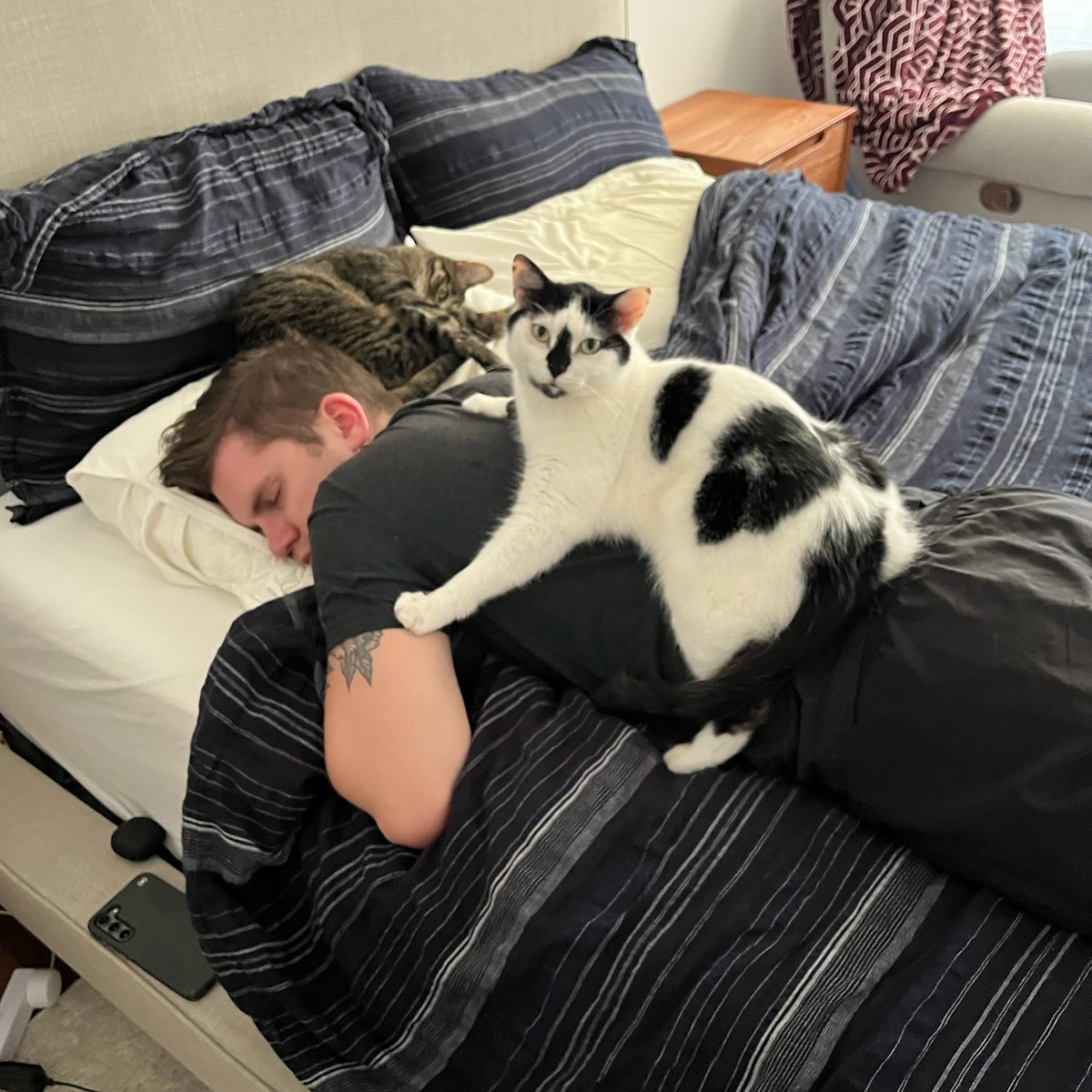 Carl and cats napping